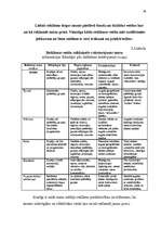 Referāts 'Jaunas preces sagatavošana tirgum', 39.