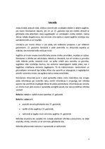 Referāts 'Mode Eiropā 15.gadsimtā', 3.