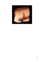 Referāts 'Mode Eiropā 15.gadsimtā', 16.