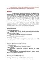 Konspekts 'Darbs ar īpašiem sabiedrības slāņiem', 10.