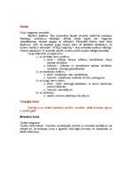 Konspekts 'Darbs ar īpašiem sabiedrības slāņiem', 11.