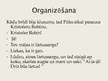 Prezentācija 'Vadības organizācijas iezīmes grāmatā "Vinnijs Pūks un viņa draugi"', 4.