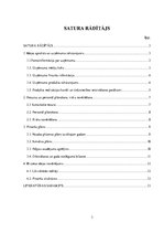 Biznesa plāns 'Restorāna biznesa plāns', 3.