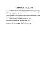 Biznesa plāns 'Restorāna biznesa plāns', 14.