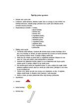 Konspekts 'Šķēršļu josla', 2.