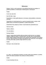 Referāts 'Tēlainās izteiksmes līdzekļi R.Ezeras darbā "Cilvēkam vajag suni"', 4.