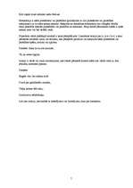 Referāts 'Tēlainās izteiksmes līdzekļi R.Ezeras darbā "Cilvēkam vajag suni"', 5.