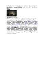 Referāts 'Itālija', 13.