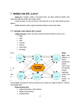 Referāts 'A/s "Laima" iekšējās un ārējās vides analīze', 5.