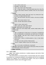 Referāts 'A/s "Laima" iekšējās un ārējās vides analīze', 17.