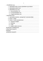 Diplomdarbs 'AAS "Gjensidige Baltic" filiāles "X" saimnieciskās darbības analīze un pilnveido', 5.