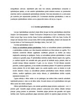 Diplomdarbs 'AAS "Gjensidige Baltic" filiāles "X" saimnieciskās darbības analīze un pilnveido', 33.