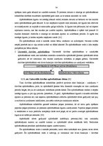 Diplomdarbs 'AAS "Gjensidige Baltic" filiāles "X" saimnieciskās darbības analīze un pilnveido', 34.