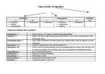 Konspekts 'Organismu savstarpējās attiecības', 1.