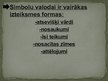 Prezentācija 'Simboli un to ietilpība (balodis un kuģis)', 4.