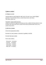 Referāts 'Programmēšana Paskālā', 4.