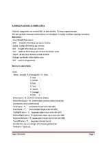 Referāts 'Programmēšana Paskālā', 5.