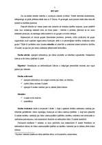 Referāts 'Formālā un neformālā līdera personības raksturojošās īpašības', 5.