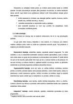 Referāts 'Formālā un neformālā līdera personības raksturojošās īpašības', 17.