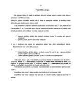 Referāts 'Formālā un neformālā līdera personības raksturojošās īpašības', 23.