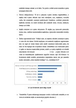 Diplomdarbs 'Interneta mārketinga rīku izmantošana Latvijas mazos un vidējos uzņēmumos', 29.