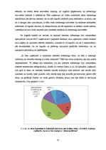 Diplomdarbs 'Interneta mārketinga rīku izmantošana Latvijas mazos un vidējos uzņēmumos', 47.
