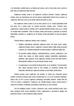 Diplomdarbs 'Interneta mārketinga rīku izmantošana Latvijas mazos un vidējos uzņēmumos', 62.