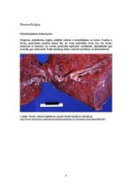 Konspekts 'Plaušu venozā hiperēmija (plaušu būnā indurācija)', 8.