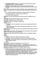 Konspekts 'Biznesa ekonomiskie pamati', 5.