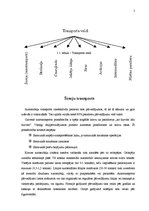 Referāts 'Transporta ekonomika', 5.