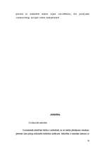 Referāts 'Autortiesības Latvijā un autortiesību aizsardzība', 19.