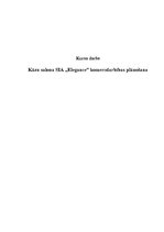Referāts 'Kāzu salona komercdarbības plānošana', 1.
