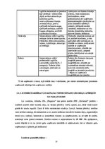 Referāts 'Kāzu salona komercdarbības plānošana', 18.