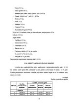 Referāts 'Kāzu salona komercdarbības plānošana', 19.