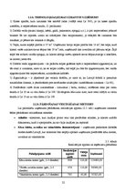 Referāts 'Kāzu salona komercdarbības plānošana', 22.