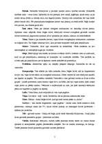 Konspekts 'Nora Ikstena "Naģe"', 2.