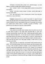 Konspekts 'Nora Ikstena "Naģe"', 7.