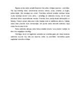 Referāts 'Reliģijas ietekme uz Ēģiptes sabiedrības dzīvi', 5.