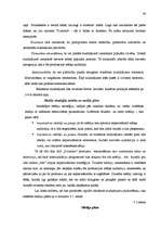 Diplomdarbs 'Mārketinga komunikāciju plāns a/s "Dzintars" kosmētikas sērijai "NA"', 42.