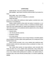 Referāts 'Ēku un būvju lietošanas tiesību aprobežojumi', 4.