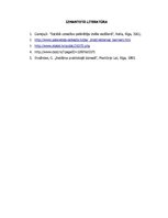 Eseja 'CSDD sociālās reklāmas kampaņas "Piesprādzē, neriskē!" analīze', 7.