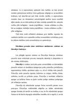 Referāts 'Reliģijas filosofija', 5.