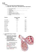 Konspekts 'Elpošana', 1.