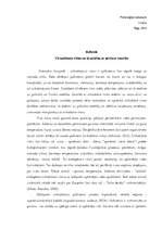 Eseja 'Cirkadiānais ritms un tā saistība ar psihisko veselību', 1.