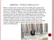 Prezentācija 'Desmit aizsargājamie augi un dzīvnieki Latvijā', 12.