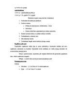 Biznesa plāns 'SIA "Sun Set"', 5.