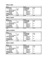 Biznesa plāns 'SIA "Sun Set"', 8.