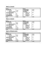 Biznesa plāns 'SIA "Sun Set"', 9.