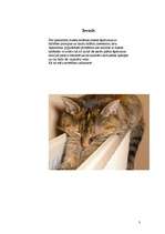 Referāts 'Dzeses sistēmu mezglu remonts', 3.