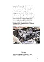 Referāts 'Dzeses sistēmu mezglu remonts', 9.